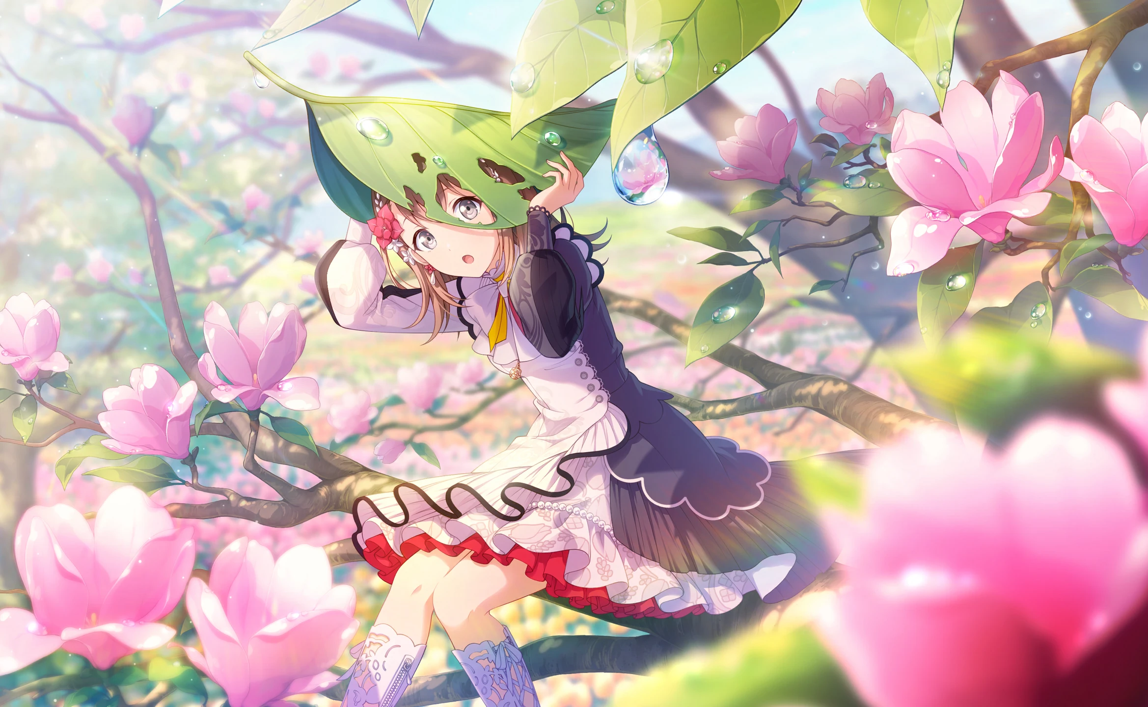 来自珍藏集: Card Artwork